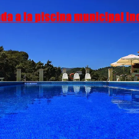 Real Fabrica Hojalata *
